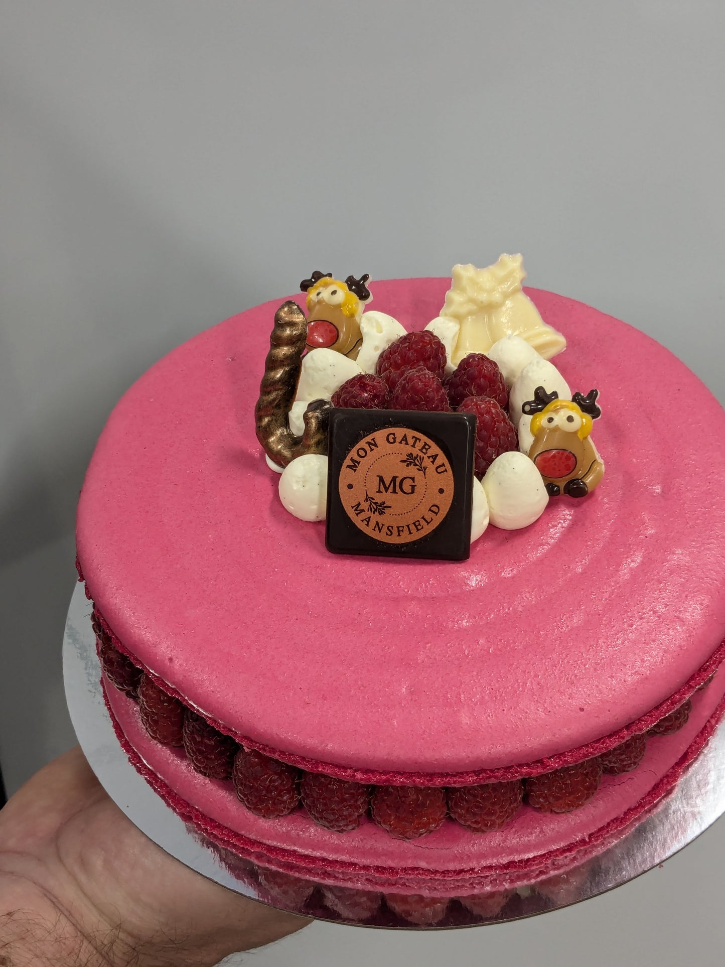 Macaron Cake